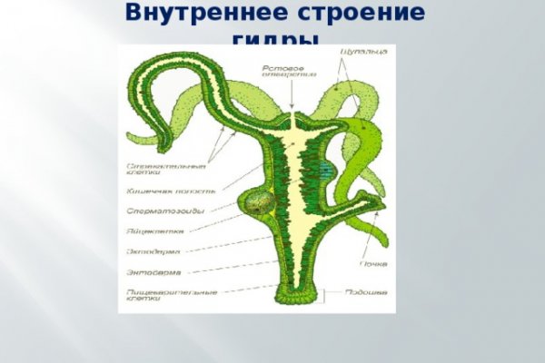 Как пополнить баланс на кракене